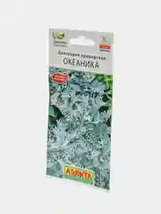 Семена "Цинерария Океаника"
