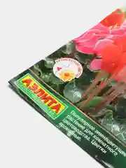 Семена цветов Цикламен "Арлекин"