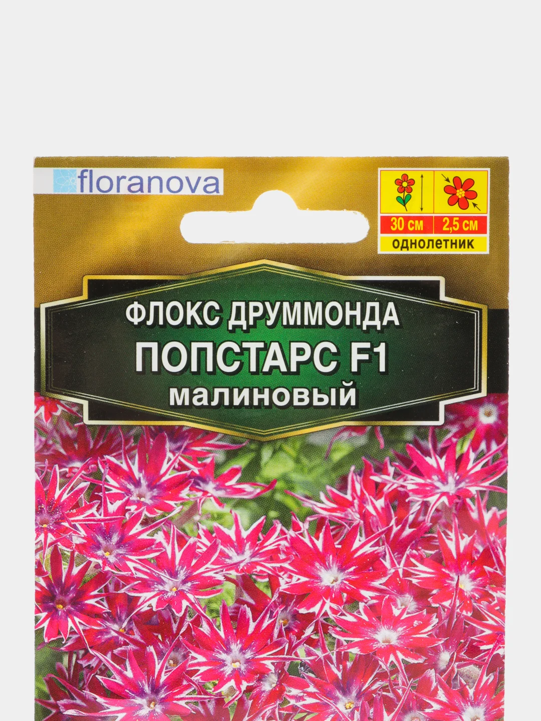 Семена "Флокс Попстарс малиновый"