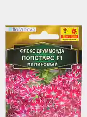 Семена "Флокс Попстарс малиновый"