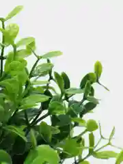 Лавандовый искусственный цветок в горшке