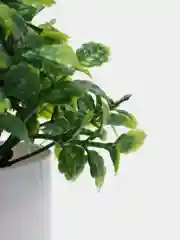 Индиго искусственный цветок в горшке