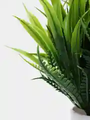 Салатовый искусственный цветок в горшке