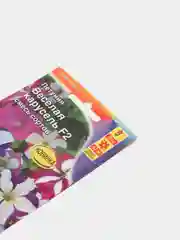 Семена "Петуния. Веселая карусель"