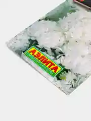 Белый семена цветов "Астра букетная", пионовидная