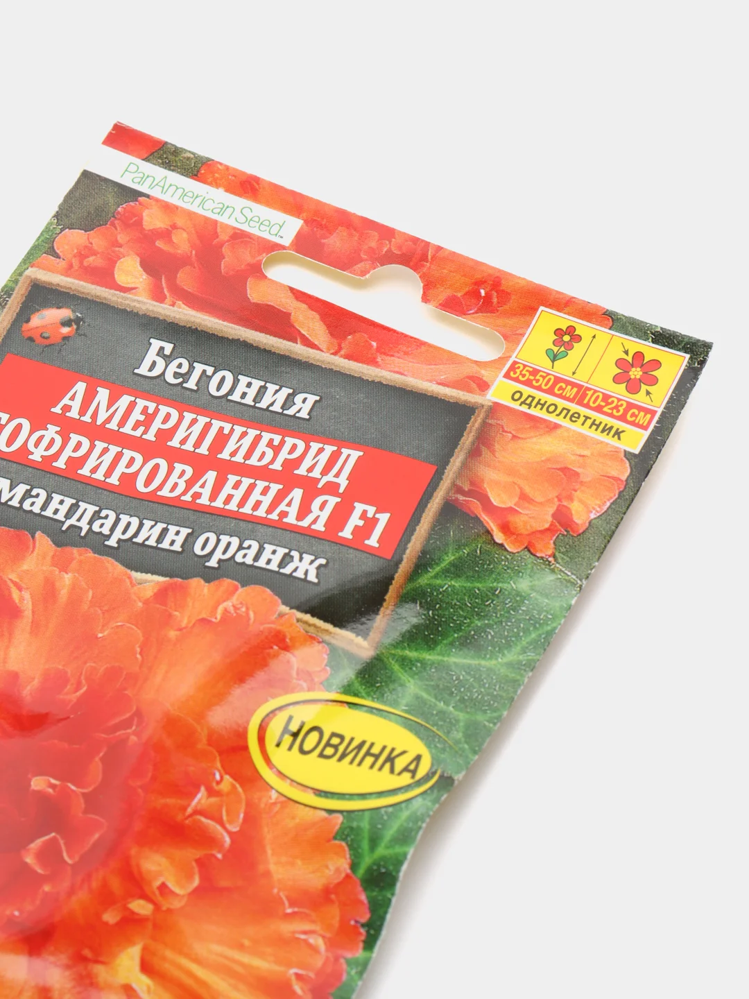Семена Бегония америгибрид "Мандарин оранж"