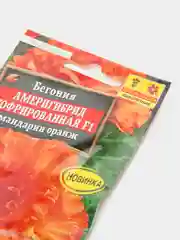 Семена Бегония америгибрид "Мандарин оранж"