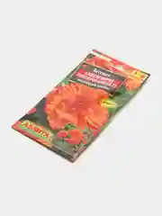 Семена Бегония америгибрид "Мандарин оранж"