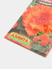 Семена Бегония америгибрид "Мандарин оранж"