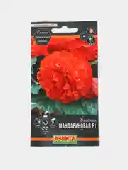Семена цветов Бегония Мандариновая