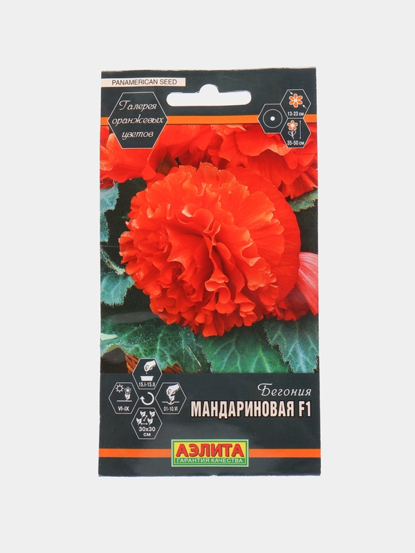Семена цветов Бегония Мандариновая