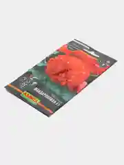 Семена цветов Бегония Мандариновая