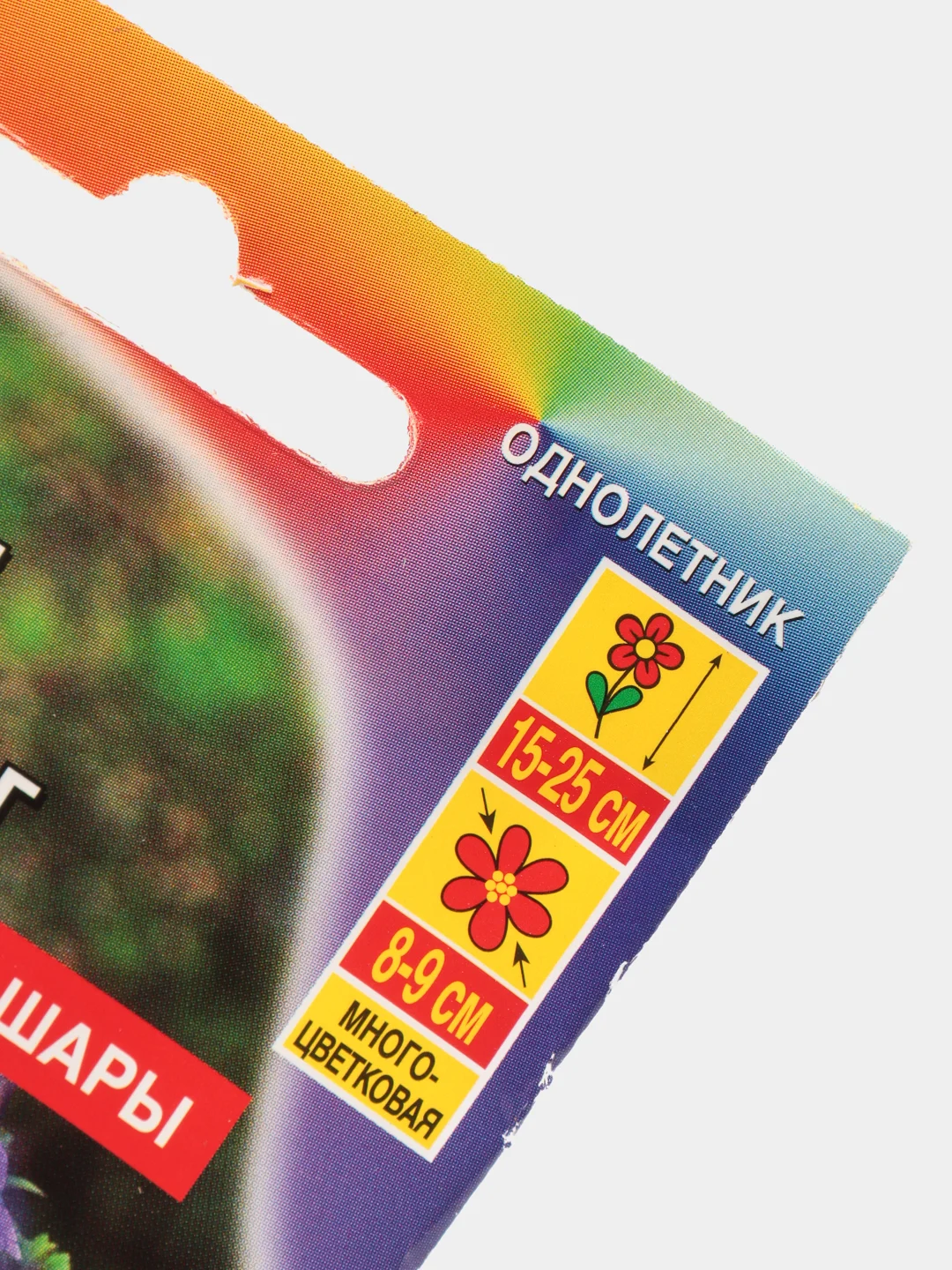 Семена Петуния "Мамбо лазурный берег"
