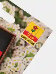 Семена цветов Алиссум "Ковер-медонос"