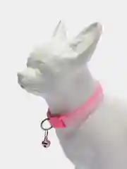 Ошейник для кошек и собак