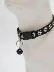 Ошейник для кошек и собак