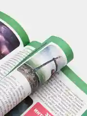 Большая энциклопедия для мальчиков