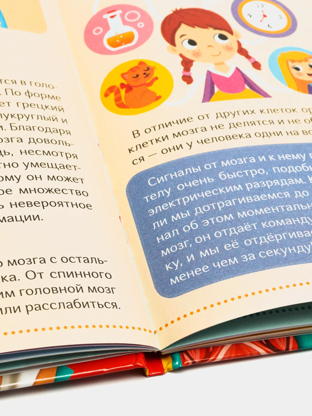 Энциклопедия в твёрдом переплёте "Тело человека", 48 страниц