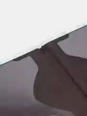 Голубой обложка на паспорт