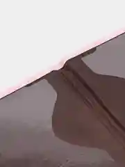 Розовый обложка на паспорт