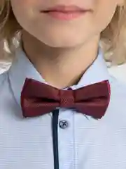 Бордовый галстук-бабочка