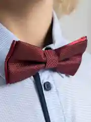 Бордовый галстук-бабочка