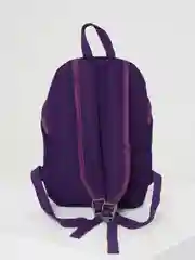 Фиолетовый рюкзак детский школьный