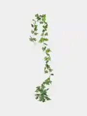Тёмно-зелёный декоративная лиана, виноградная, плющ искусственный, цветы