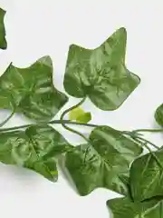 Тёмно-зелёный декоративная лиана, виноградная, плющ искусственный, цветы