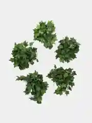 Тёмно-зелёный декоративная лиана, виноградная, плющ искусственный, цветы