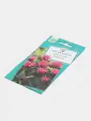 Семена цветов Монарда "Бергама"