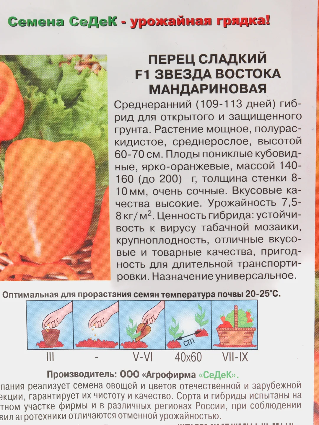 Перец Звезда востока мандариновая (семена)