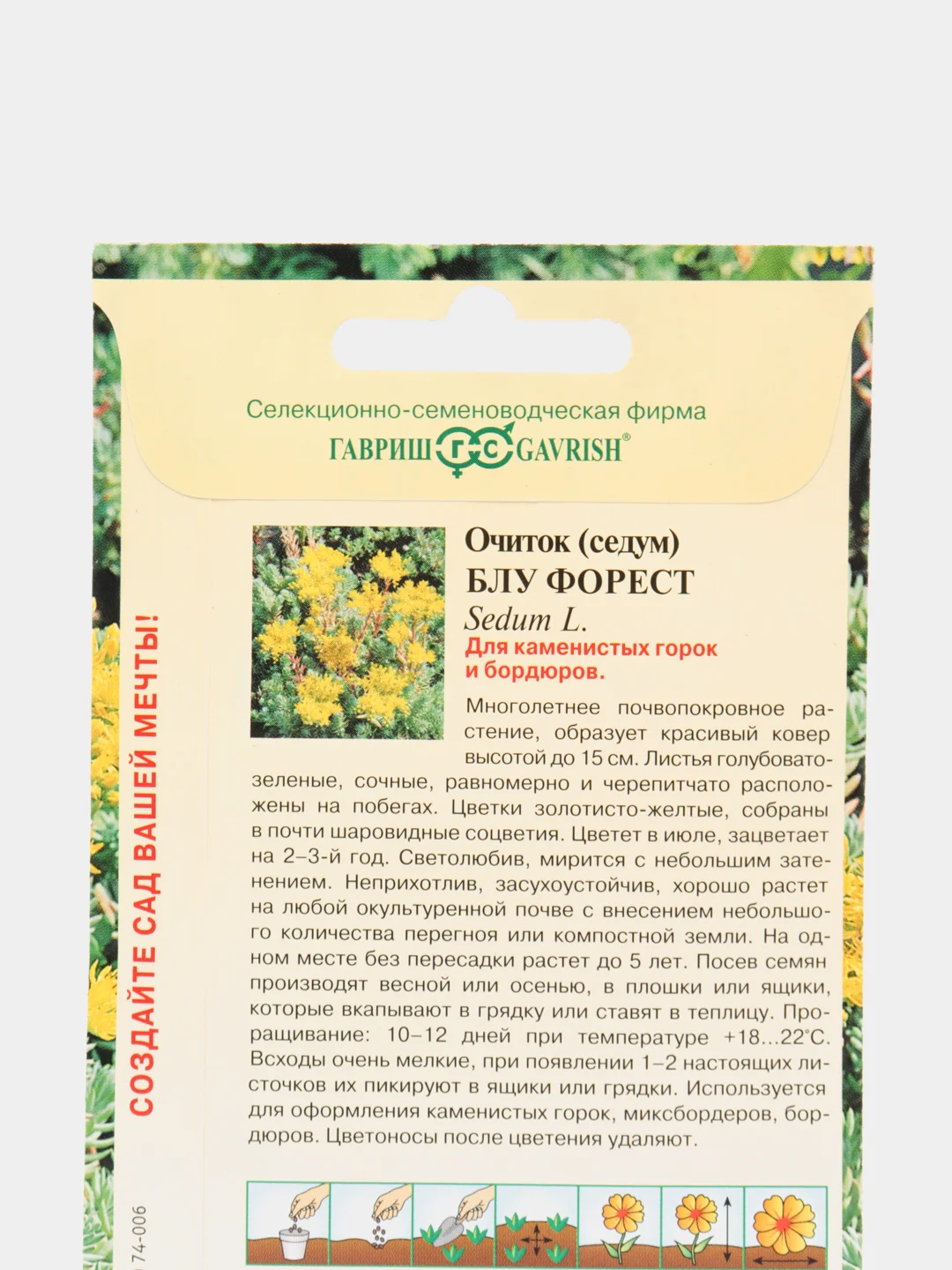 Очиток Блу форест (семена,цветы)