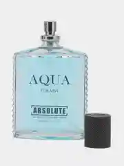 Туалетная вода Absolute Aqua, мужская, 100 мл