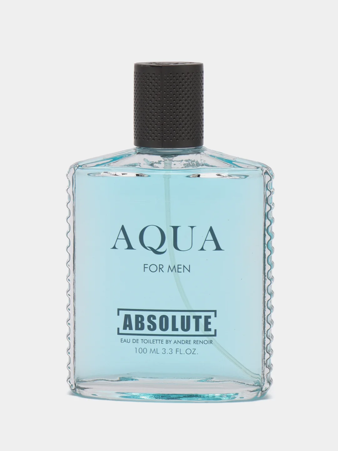 Туалетная вода Absolute Aqua, мужская, 100 мл