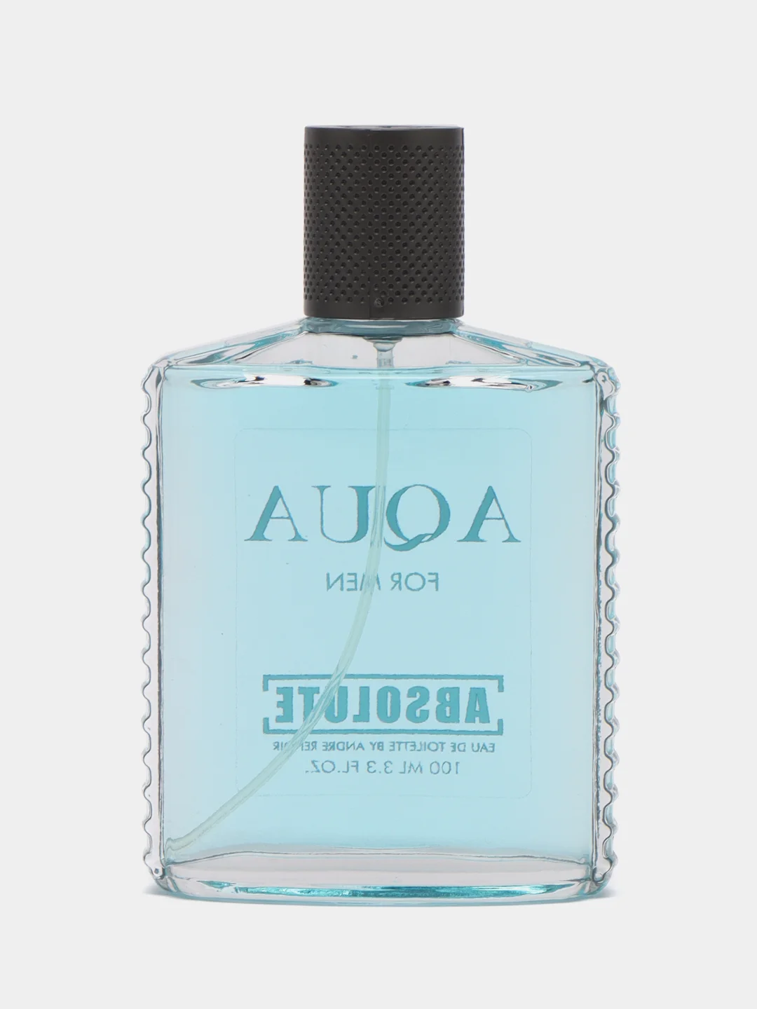 Туалетная вода Absolute Aqua, мужская, 100 мл