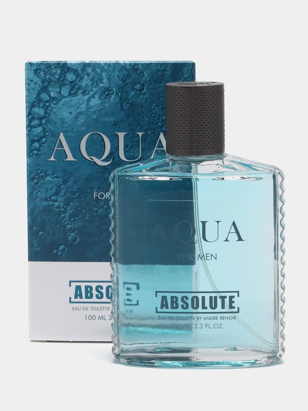 Туалетная вода Absolute Aqua, мужская, 100 мл