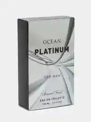 Туалетная вода Ocean Platinum мужская, 100 мл