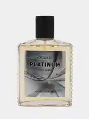 Туалетная вода Ocean Platinum мужская, 100 мл