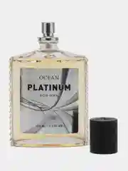 Туалетная вода Ocean Platinum мужская, 100 мл