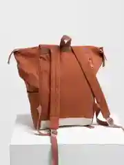 Медный рюкзак школьный