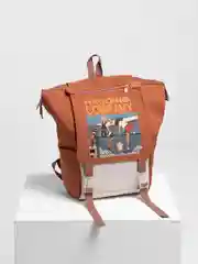 Медный рюкзак школьный