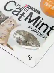 Лакомство кошачья мята "Котовник кошачий", для домашних животных, 5 г