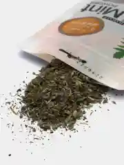 Лакомство кошачья мята "Котовник кошачий", для домашних животных, 5 г