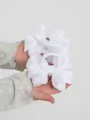 Белые бантики, школьные 2 штуки