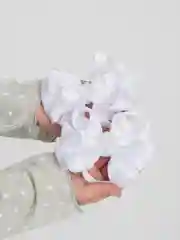 Белые бантики, школьные 2 штуки