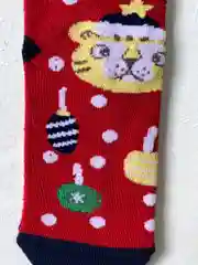 Алый детские Новогоние носки