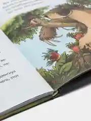 Похититель бабочек", Франциска Гем