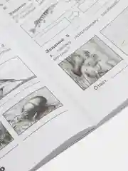 Окружающий мир" проверочные работы, 4 класс, Плешаков, Крючкова, Плешаков