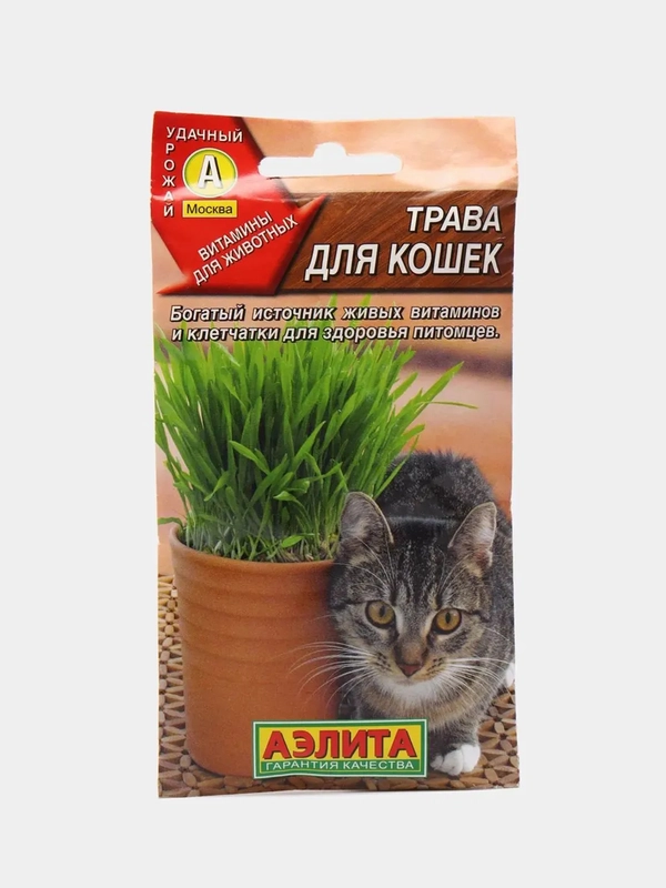 Трава для кошек 20 грамм (семена)